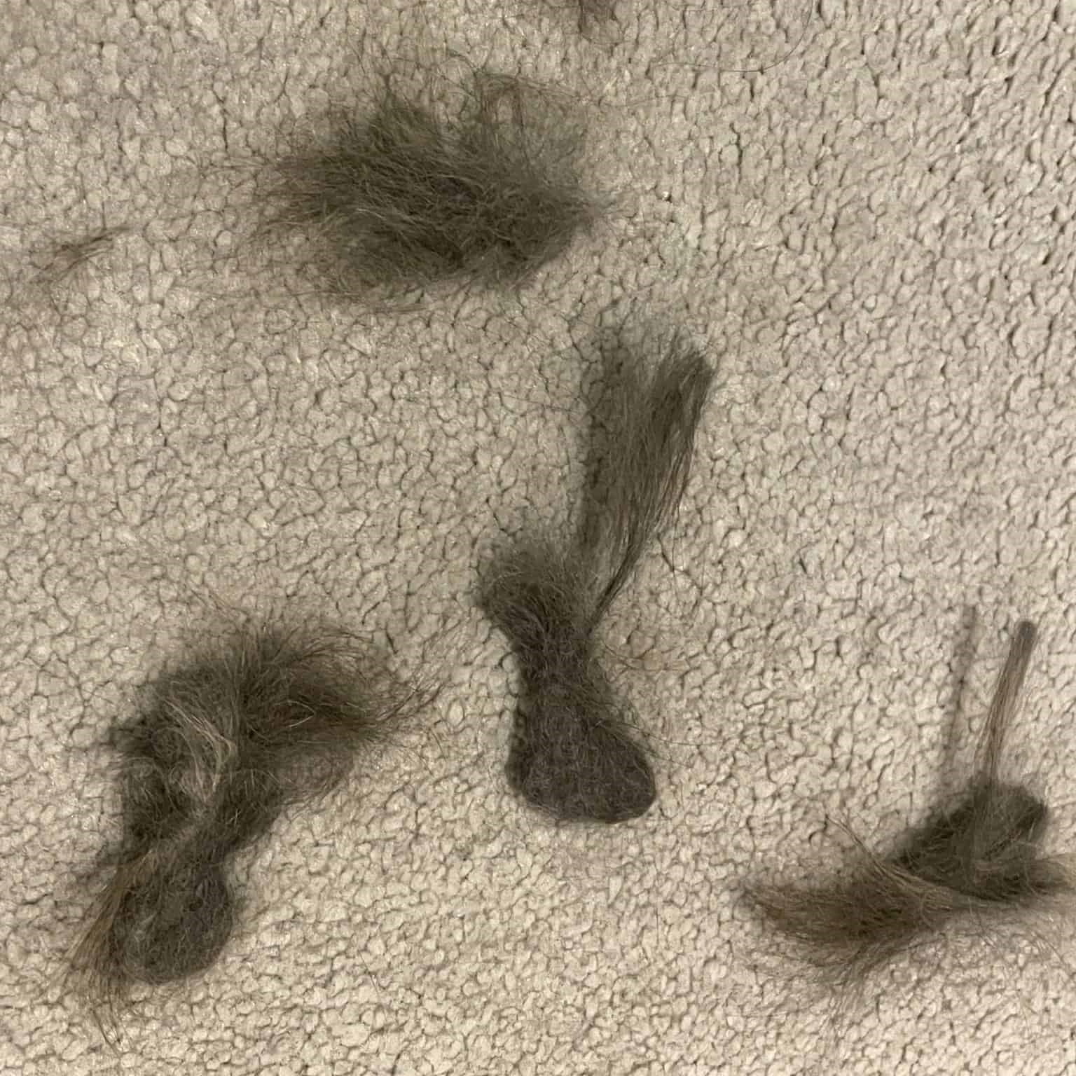 Cleanako Pro™ Pet Hair Remover