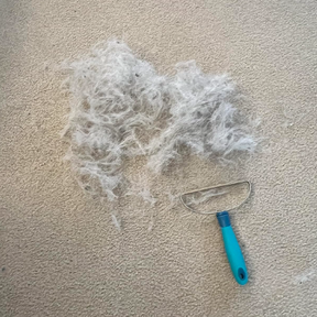 Hair Today, Gone Tomorrow Bundle (Free Mini™)