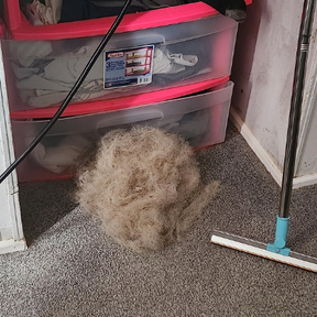 Cleanako Max™ Pet Hair Remover