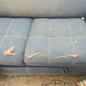 Hair Today, Gone Tomorrow Bundle (Free Mini™)