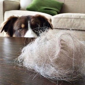 Cleanako Pro™ Pet Hair Remover