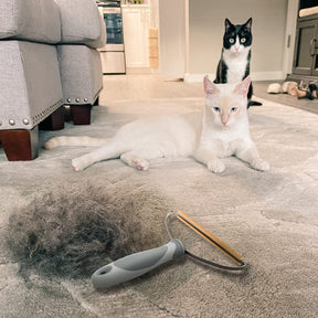 Cleanako Pro™ Pet Hair Remover